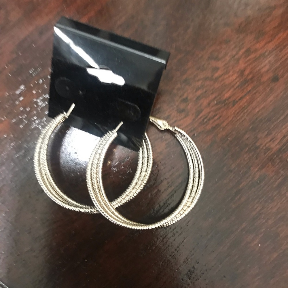 Silver multi hoop Earring.